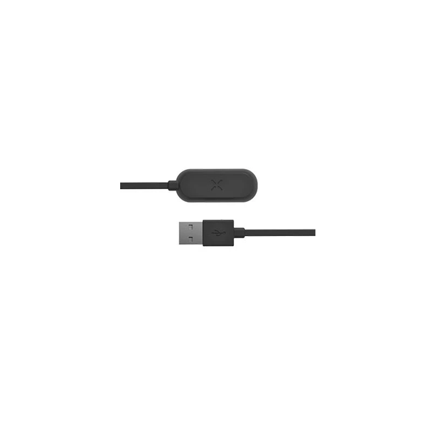 Pax Mini charger
