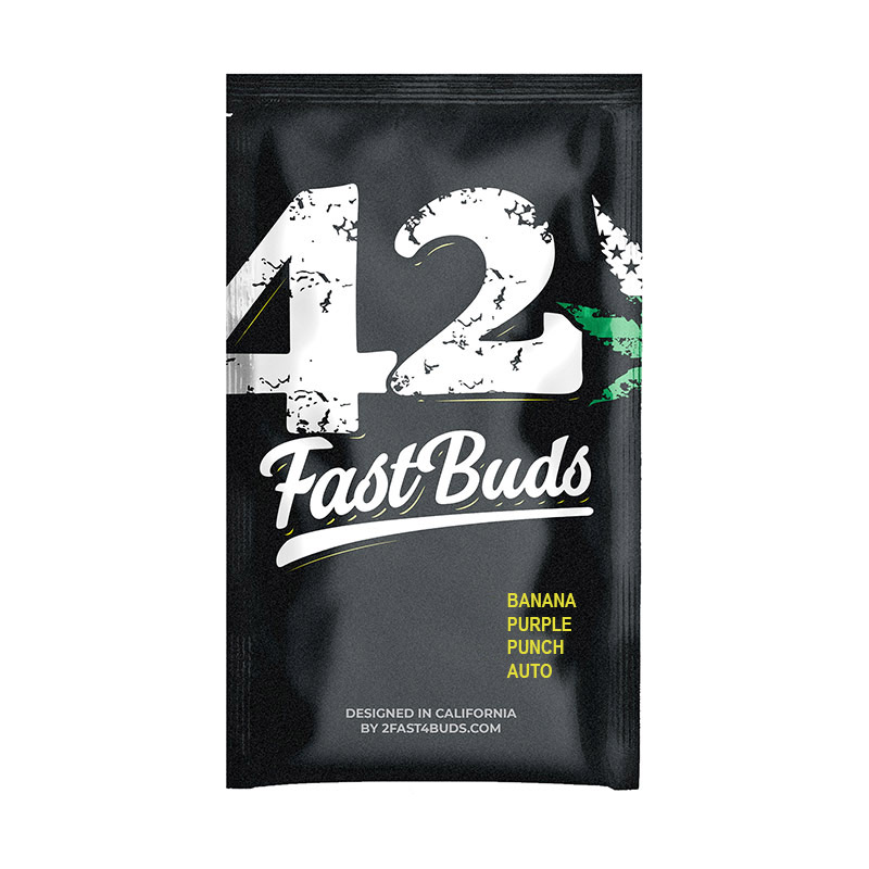 Banana Purple Punch Auto Feminized Seeds by FastBuds