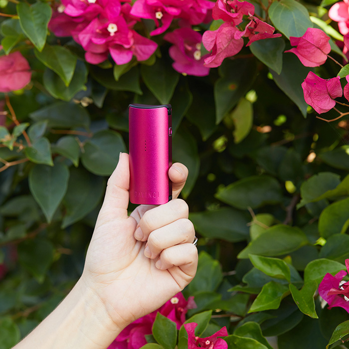 DaVinci MIQRO-C Vaporizer in pink being held beside flowers.