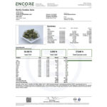 Fast Buds Gorilla Cookies Auto strain information sheet