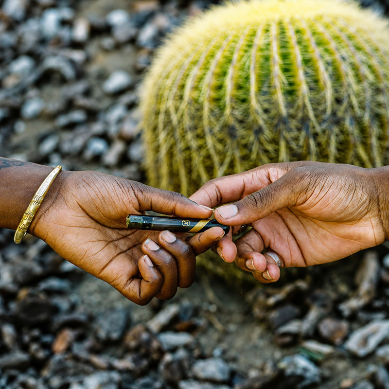 Marley Natural Smoked Taster being passed between two hands beside a large cactus plant