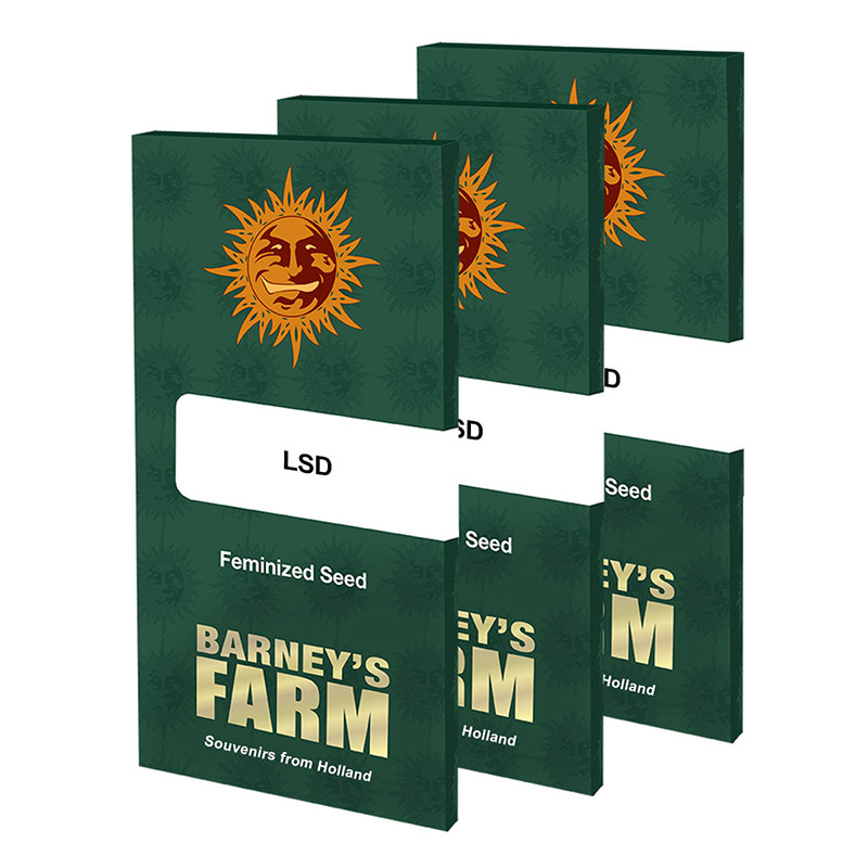 LSD Feminized Seeds by Barney's Farm