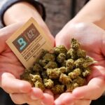 Boveda 62% 4g humidity pack held with dried herbs