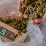 Boveda 62% humidity pack beside dried herbs in a storage container