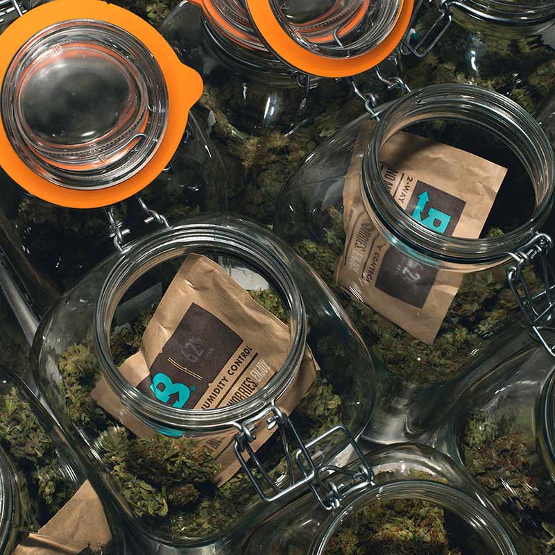 Boveda 62% humidity packs inside airtight jars with herbs