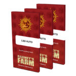 LSD Auto Feminized Seeds by Barney's Farm