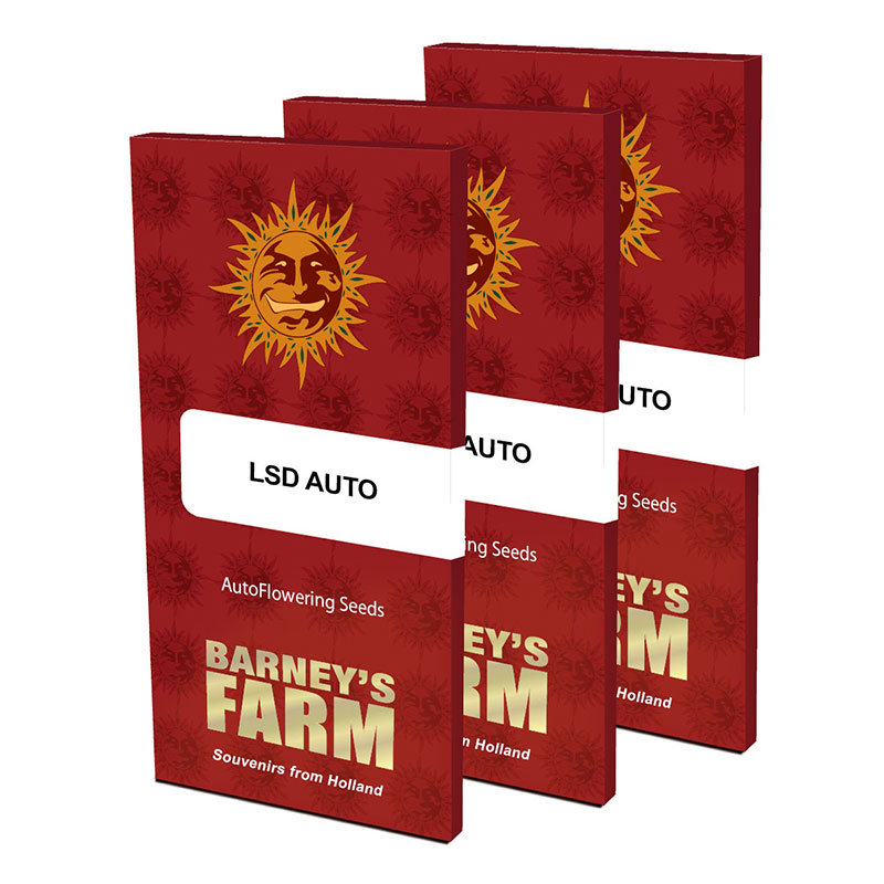 LSD Auto Feminized Seeds by Barney's Farm