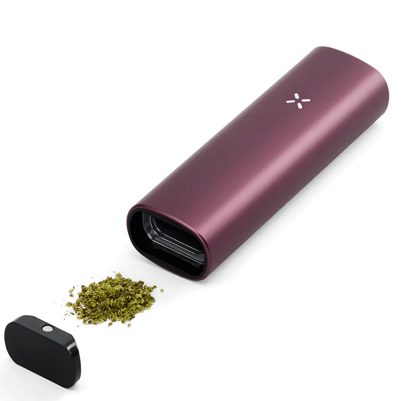 PAX Plus vaporizer in Elderberry showing the oven chamber