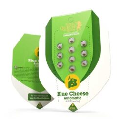 Blue Cheese Autoflowering | Royal Queen Seeds Autoflower Seeds Evertree