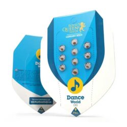 Dance World CBD Feminized | Royal Queen Seeds Cannabis Seeds Evertree