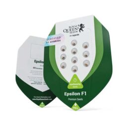 Epsilon F1 Hybrids | Royal Queen Seeds Cannabis Seeds Evertree