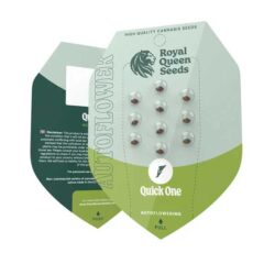 Quick One Autoflowering | Royal Queen Seeds Autoflower Seeds Evertree