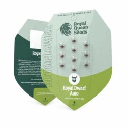 Royal Dwarf Autoflowering | Royal Queen Seeds Autoflower Seeds Evertree
