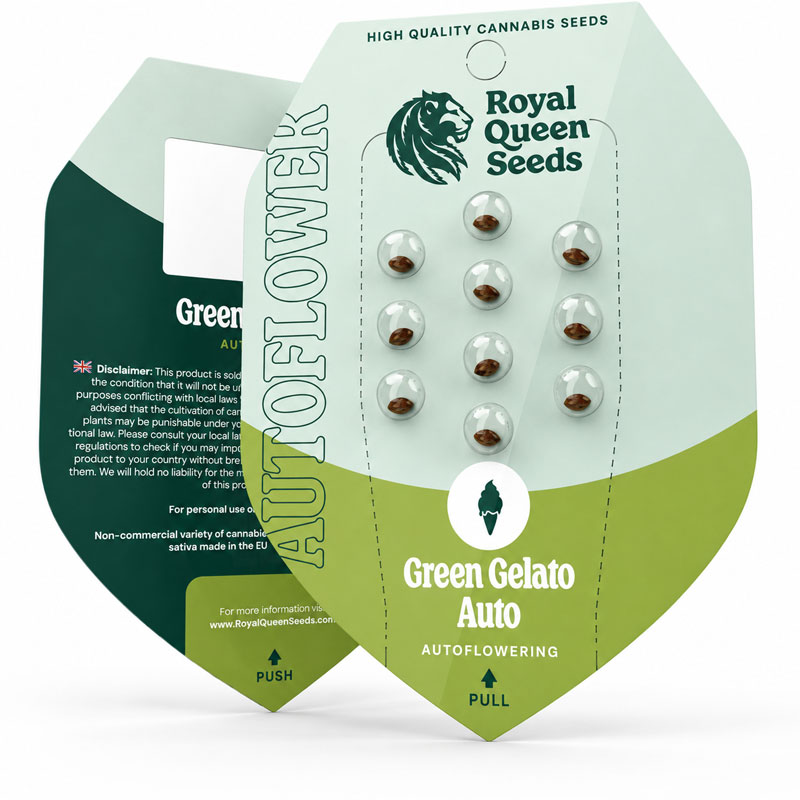 Green Gelato Autoflowering by Royal Queen Seeds