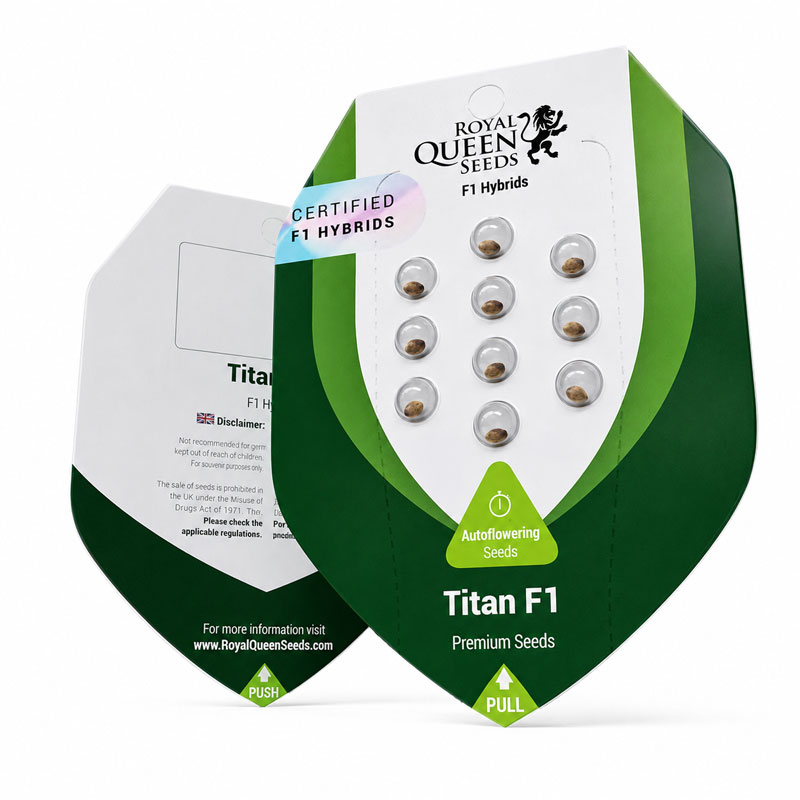 Titan F1 Hybrids by Royal Queen Seeds