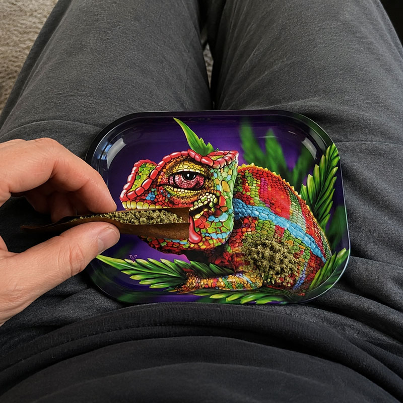 Person rolling on a V-Syndicate Chameleon rolling tray resting on their lap with colourful chameleon artwork visible