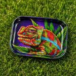 A tray on the grass