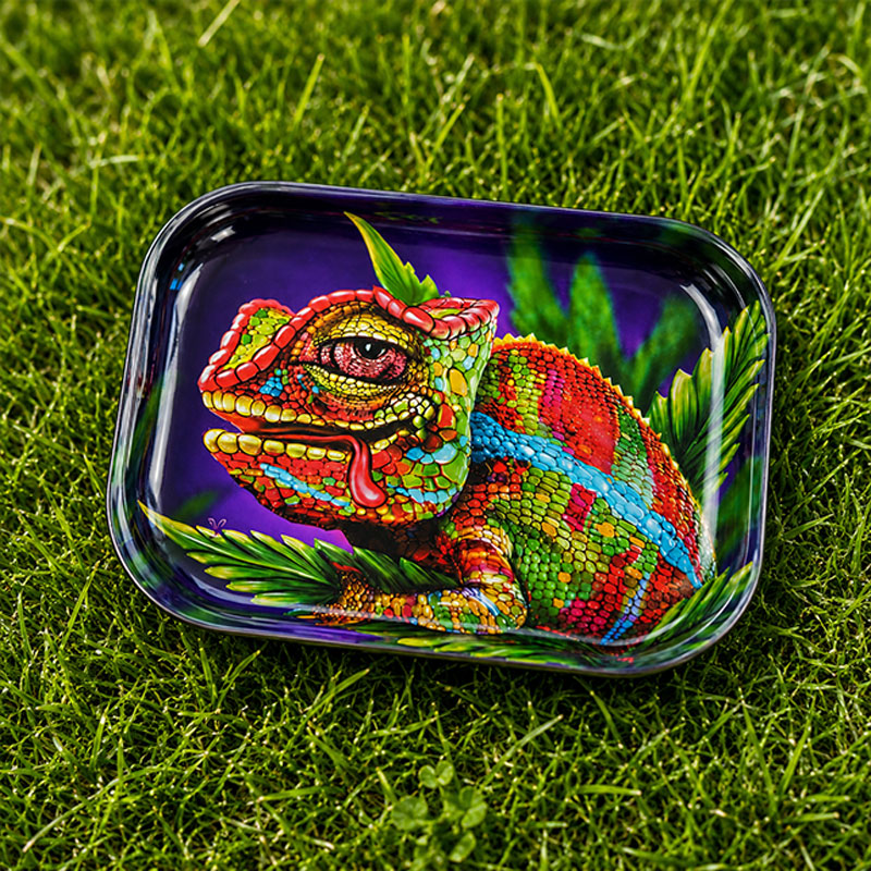 A tray on the grass