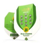 Blue Cheese Autoflowering by Royal Queen Seeds