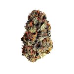 Close-up of a Dance World CBD cannabis bud on white background.