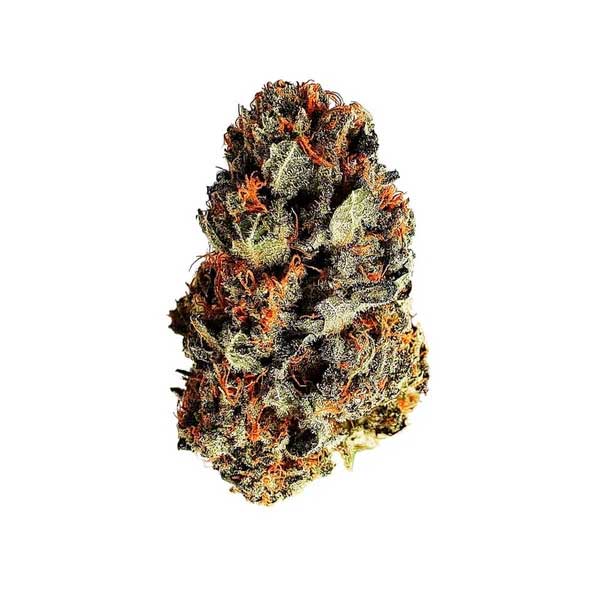 Close-up of a Dance World CBD cannabis bud on white background.