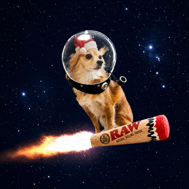 A dog riding a cone through space