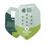 Royal Dwarf Autoflowering by Royal Queen Seeds