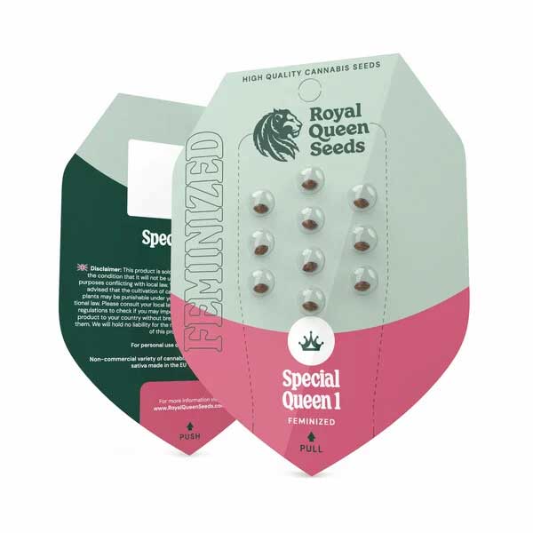 Special Queen 1 Feminized by Royal Queen Seeds
