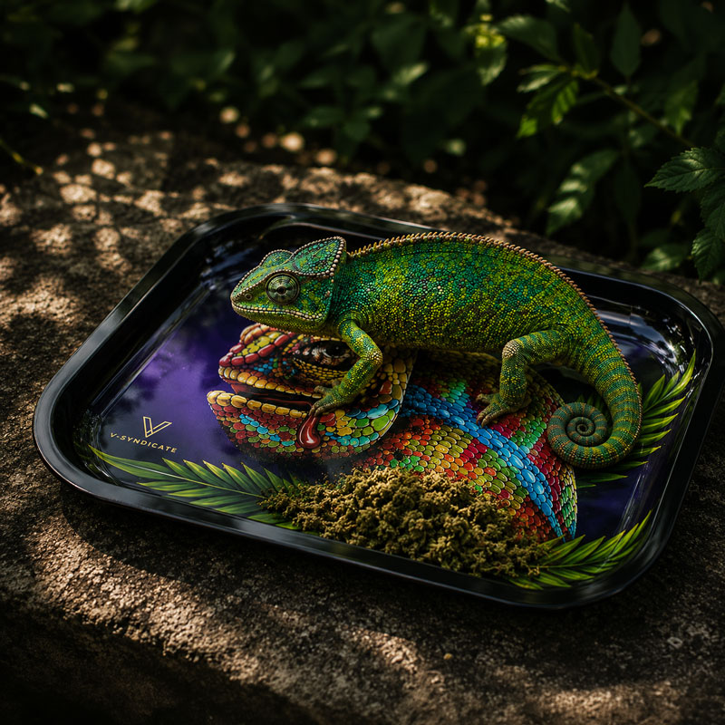 A Chameleon on the Chameleon tray