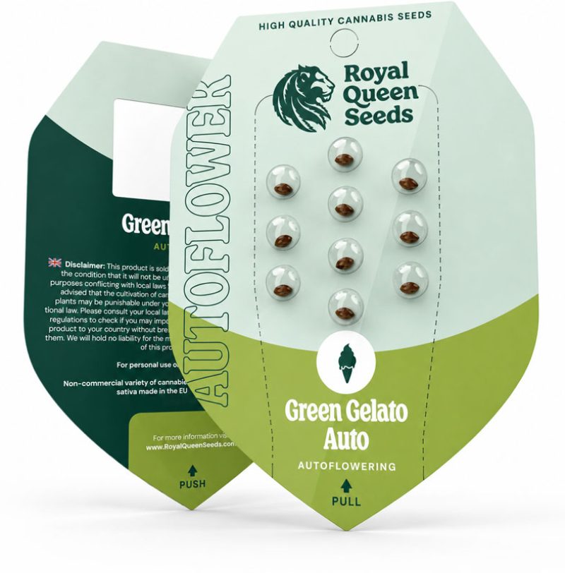Green Gelato Autoflowering by Royal Queen Seeds