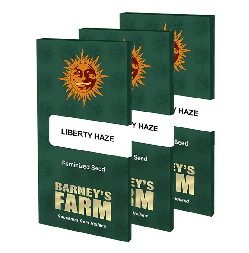 Liberty Haze Feminized Seeds by Barney's Farm