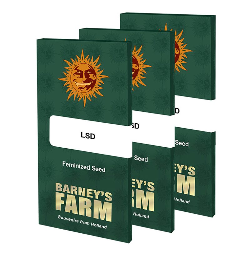LSD Feminized Seeds by Barney's Farm