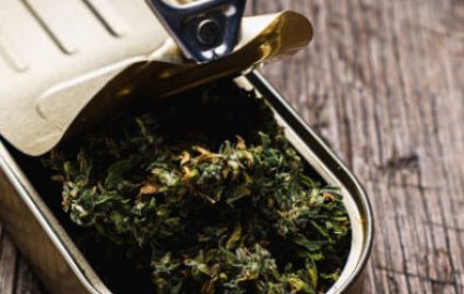 Hemp in a tuna can