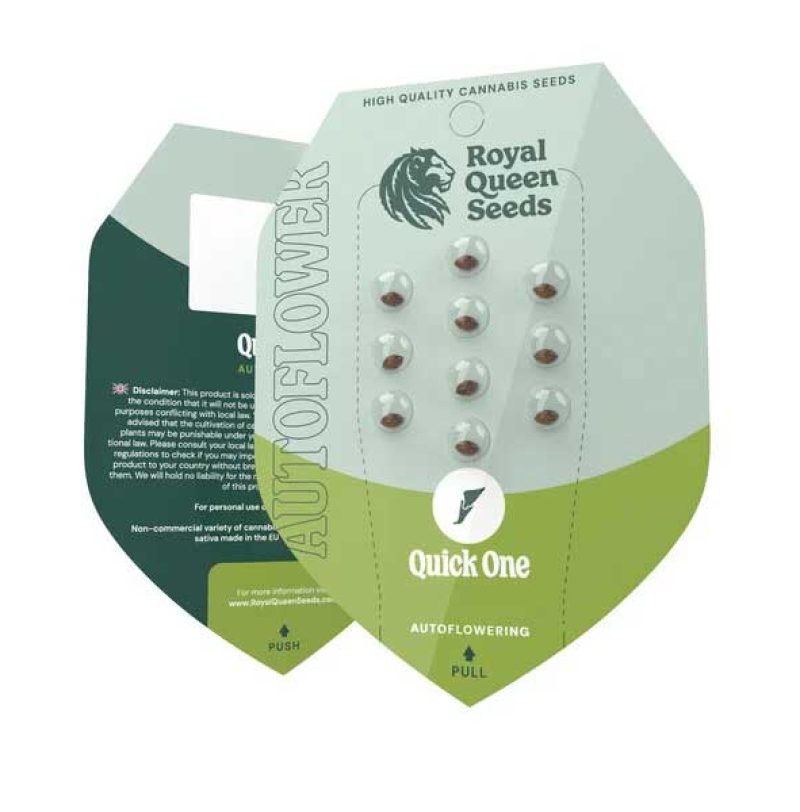 Quick One Autoflowering by Royal Queen Seeds