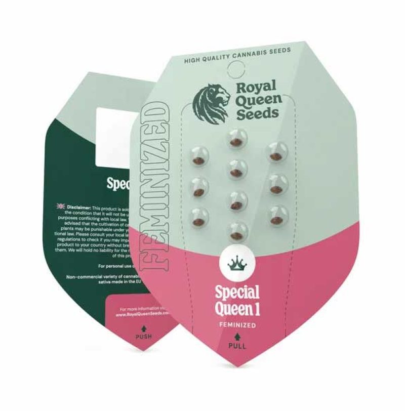 Special Queen 1 Feminized by Royal Queen Seeds